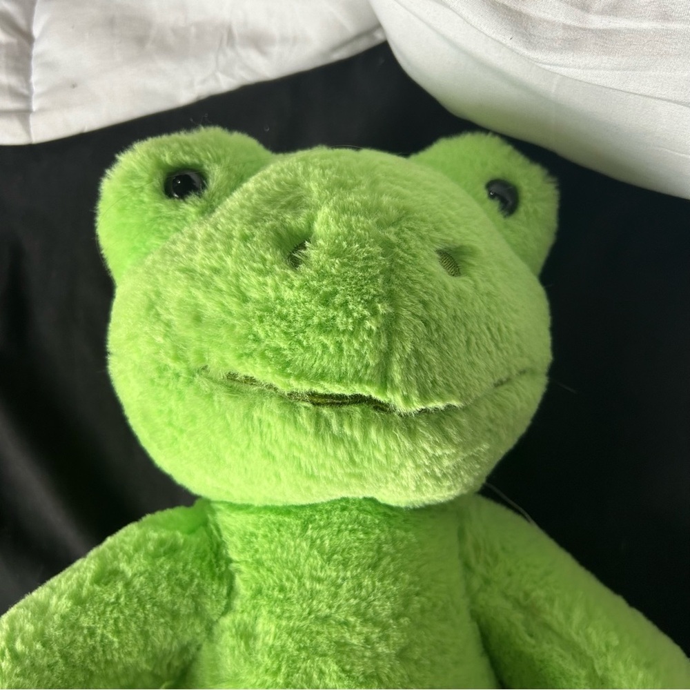 OG Frog Build-A-Bear - Picture 2 of 4